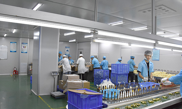 惠州固鉑能包裝科技有限公司