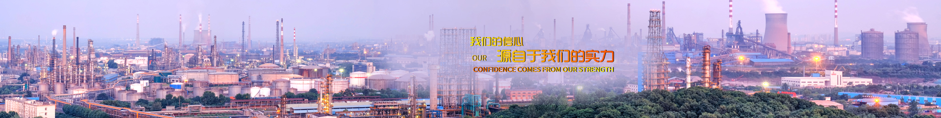 辽宁省石油化工规划设计院有限公司（LNCD）