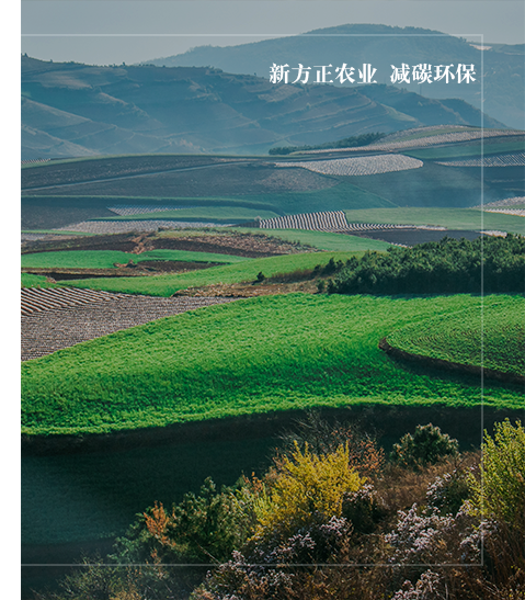 吉林省新方正農業科技有限公司