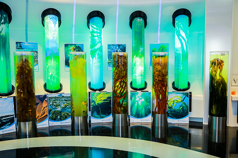 China Seaweed Science and Technology Museum