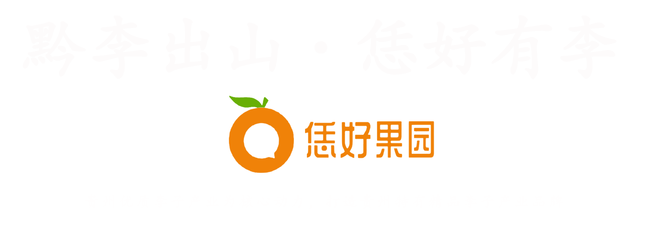 贵州恁好果业有限公司