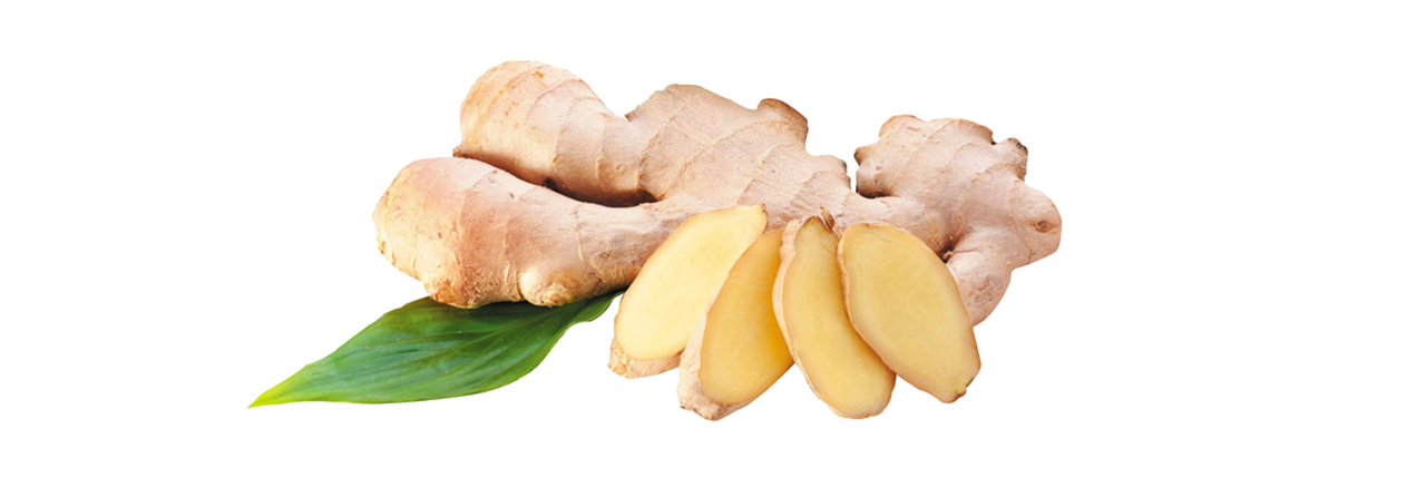 Ginger extract 