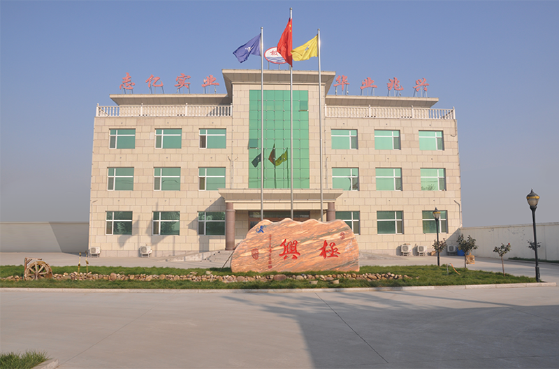 Shijiazhuang Zhiyi Zinc Industry Co., Ltd