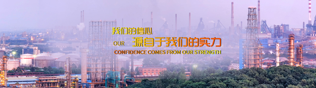 辽宁省石油化工规划设计院有限公司