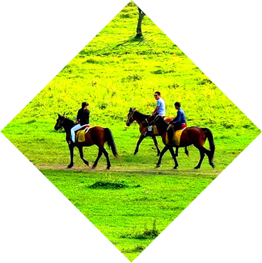 Horse-riding