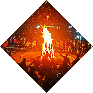 Bonfire party