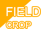Field Crop