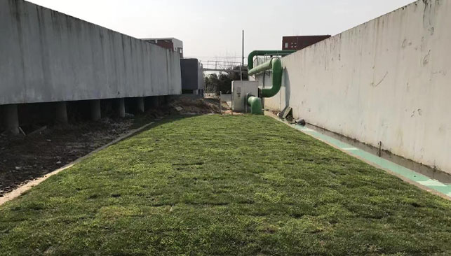 江西龙开河污水处理厂生物土壤除臭系统