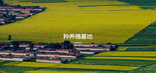 纳雍县农村经济发展投资有限责任公司