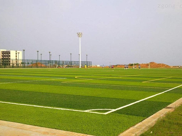 Natural turf football field
