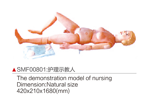 SMF00801 The demonstration model of nursing