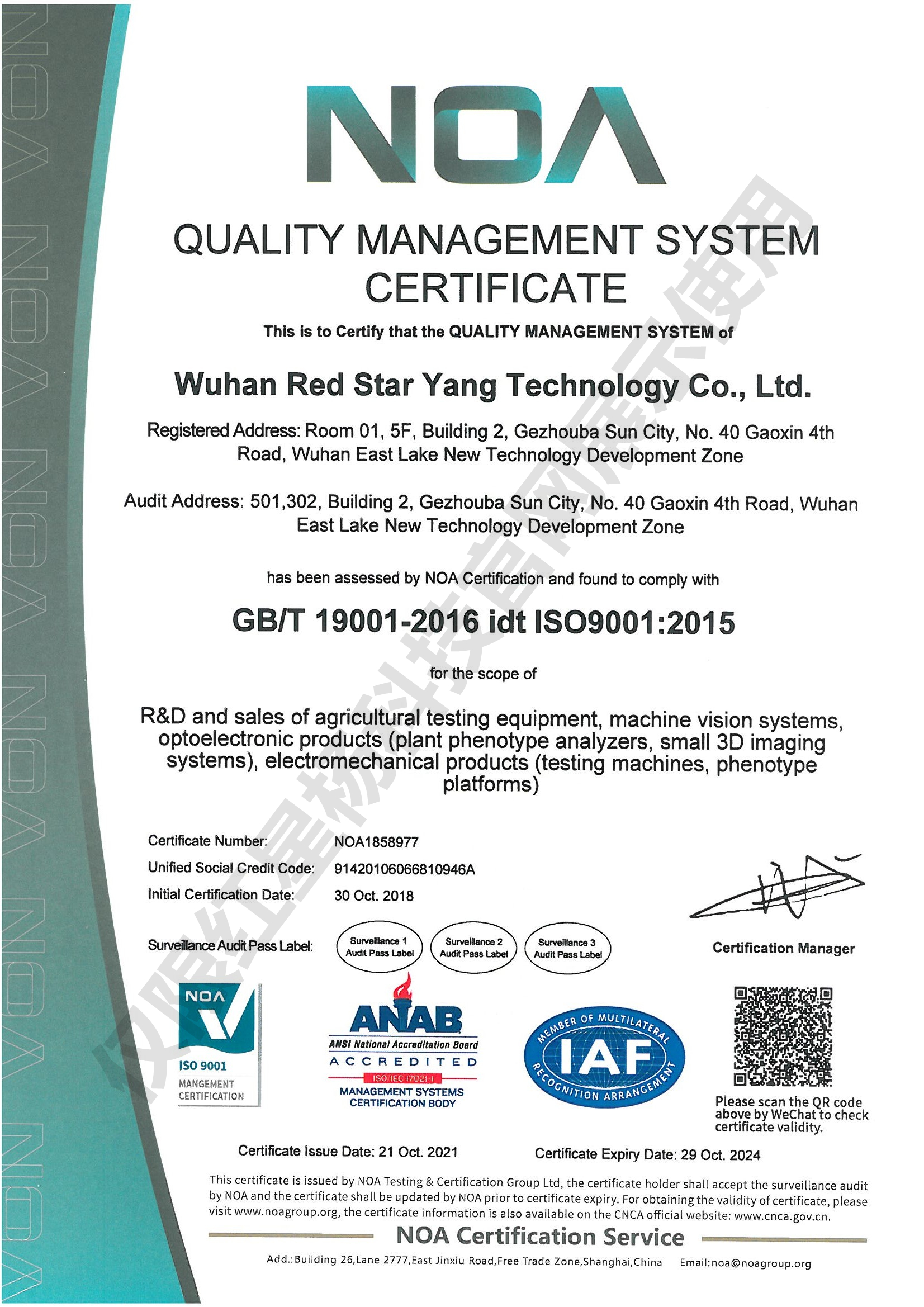 红星杨质量管理体系认证证书-EN