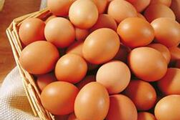长沙鸡蛋价格持续下跌 土鸡蛋只需要8元一斤