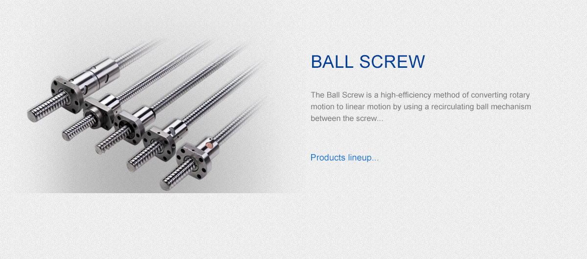 BALL SCREW