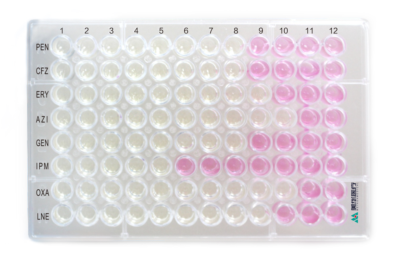 细菌药物MIC测试板（非临床定制版）