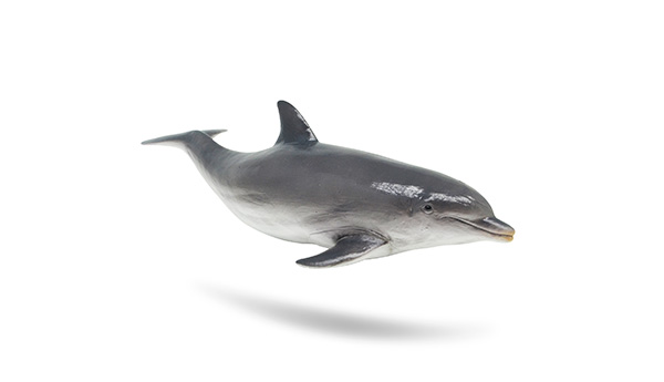 海洋动物玩具-海豚