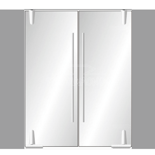 glass pivot door system