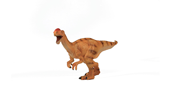 恐龙玩具-单脊龙