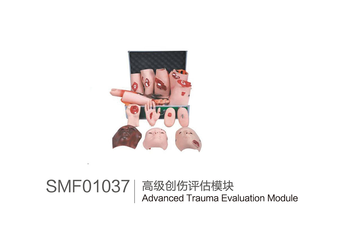 SMF01037：高级创伤评估模块