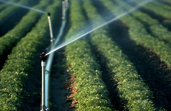 节水灌溉的几种方式