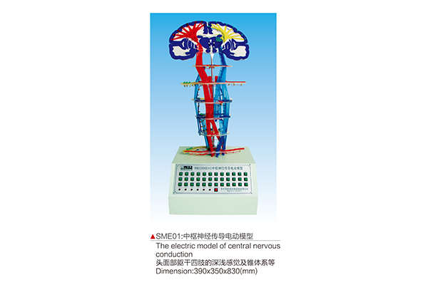 SME01 The electric model of central nervous conduction