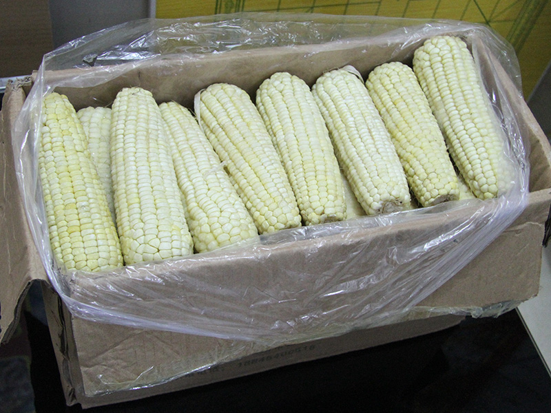 Sticky corn