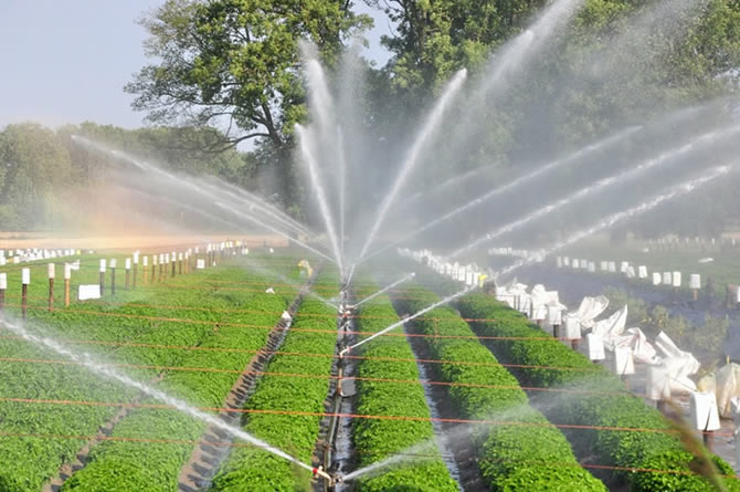 灌溉水检测