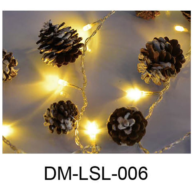 DM-LSL-006