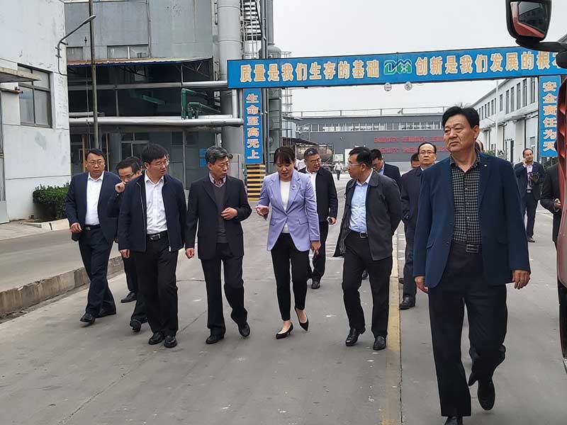 The Minister of Organization of Tengzhou City came to our factory to investigate the operation of the talent platform