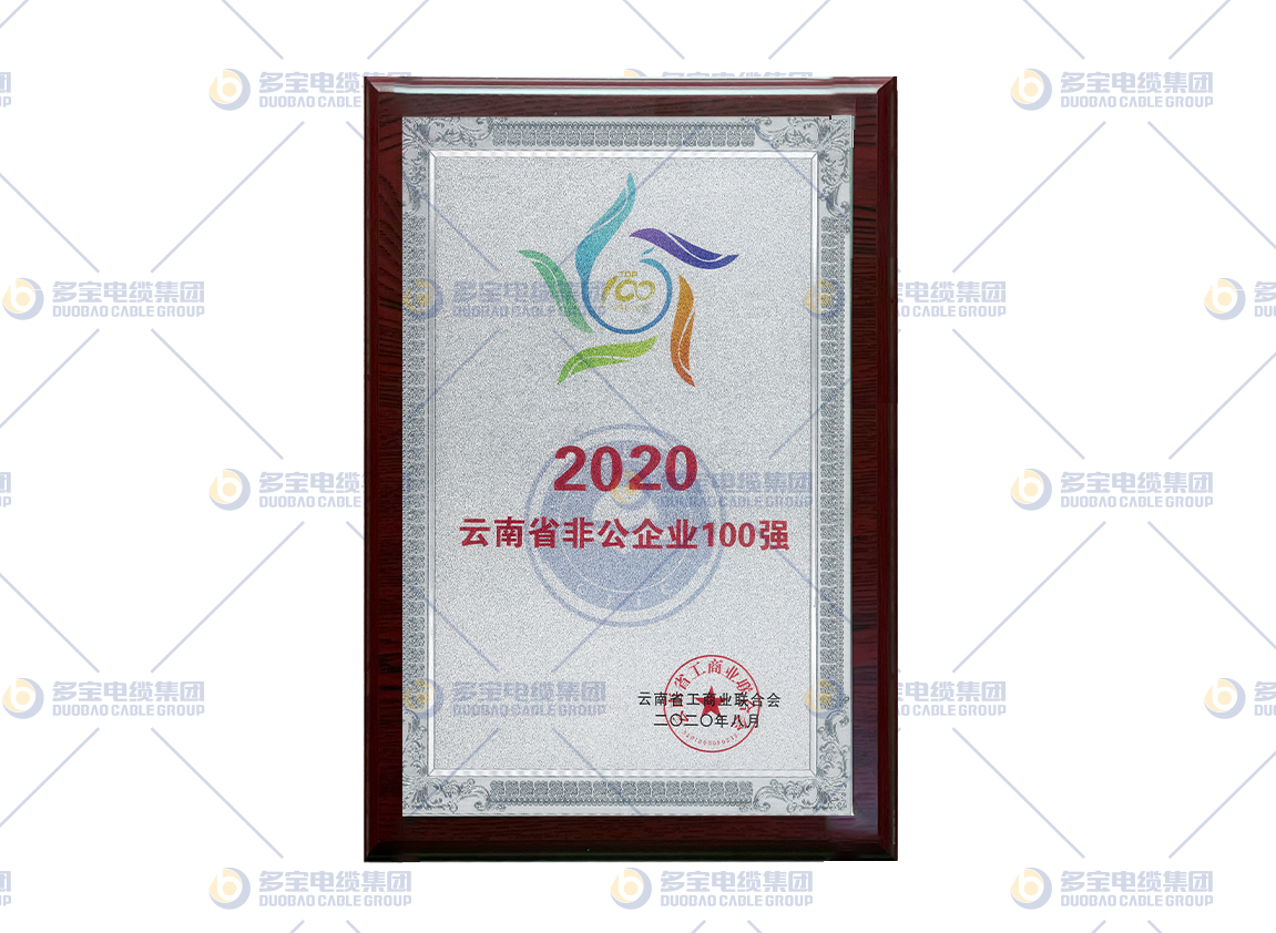 2020云南省非公企业100强