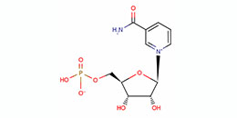 beta -烟酰胺核苷酸( NMN )