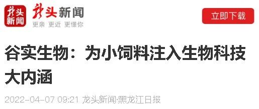谷实生物集团登上黑龙江日报官网龙头新闻，“谷实生物——为小饲料注入生物科技大内涵”
