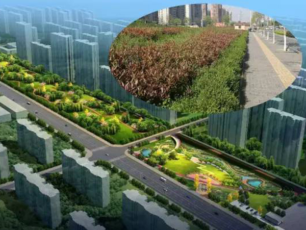 处理海绵生态环境建设西安小寨海绵城市1