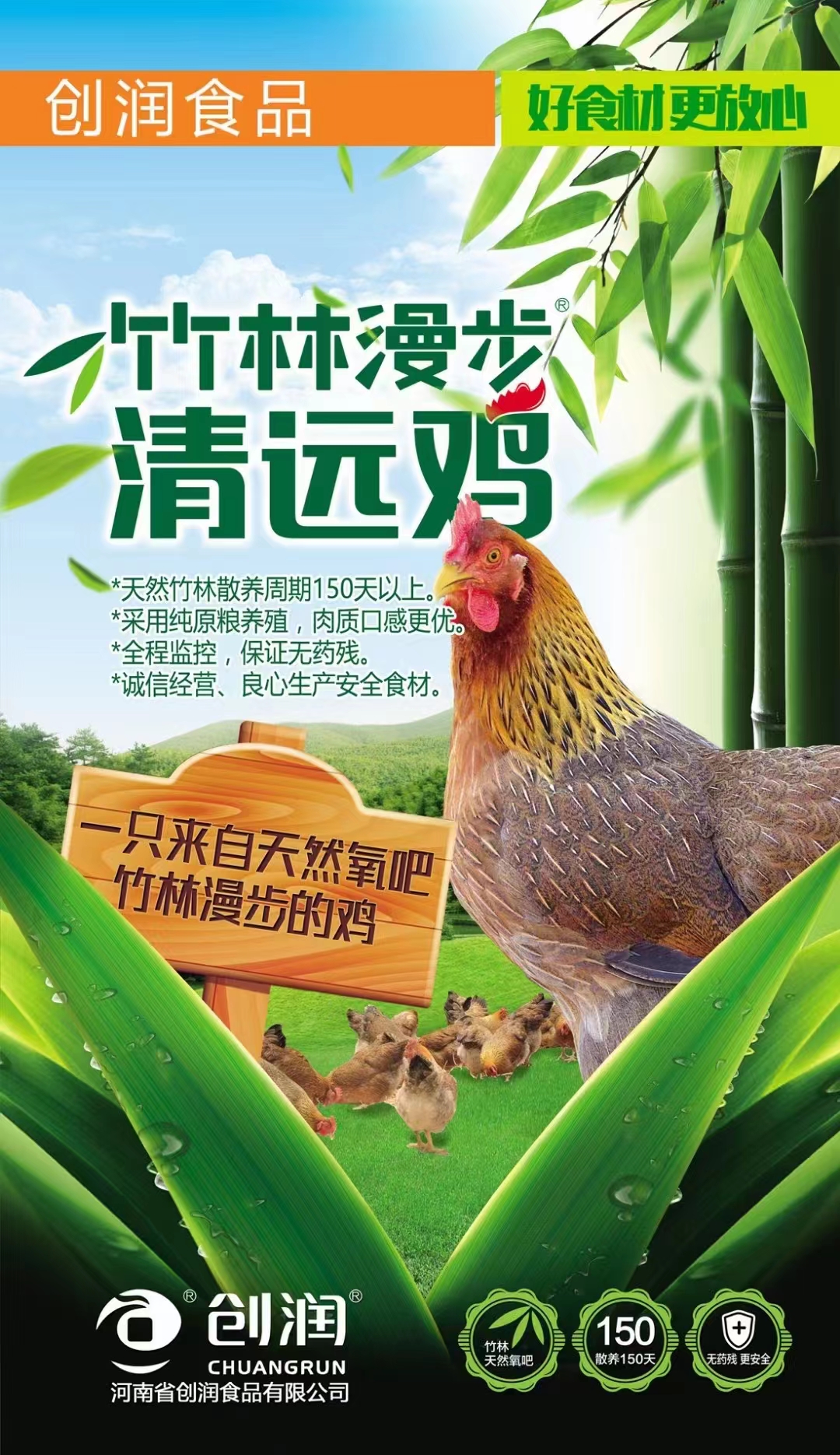 竹林漫步—清遠雞-創潤清遠雞