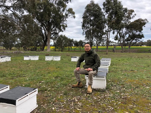 国际蜂情 | 澳大利亚养蜂见闻（六）