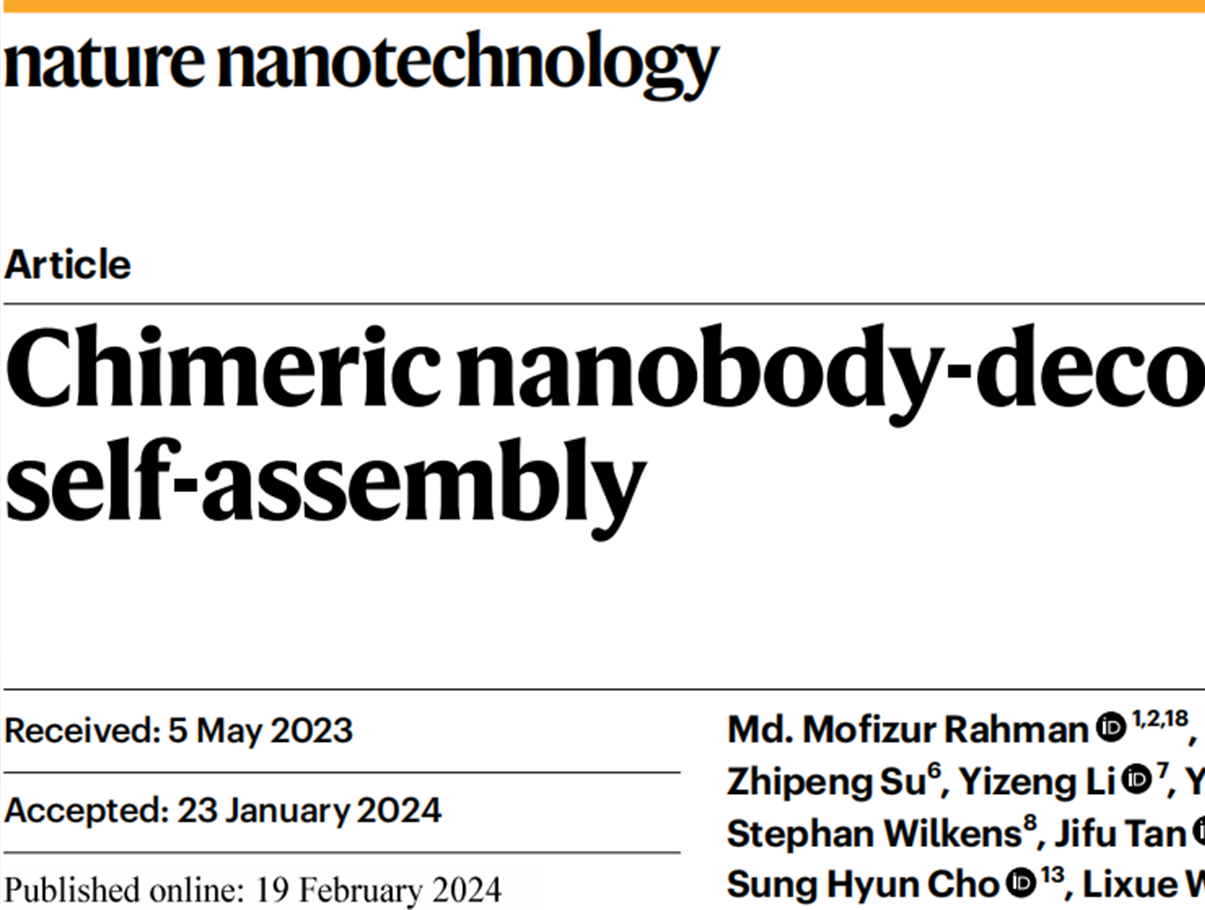 Chimeric nanobody-decorated liposomes by self-assembly