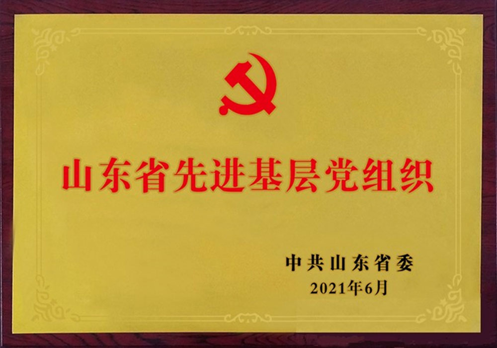2021 Advanced Grass roots Party Organizations in Shandong Province