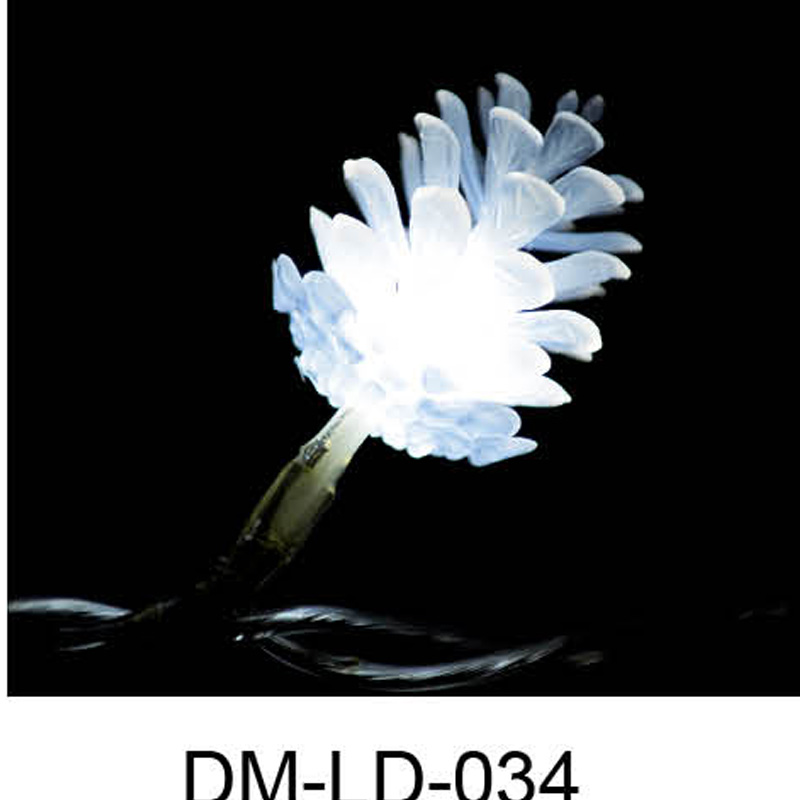 DM-LD-034