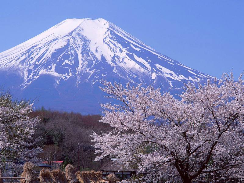 日本签证个人旅游自由行