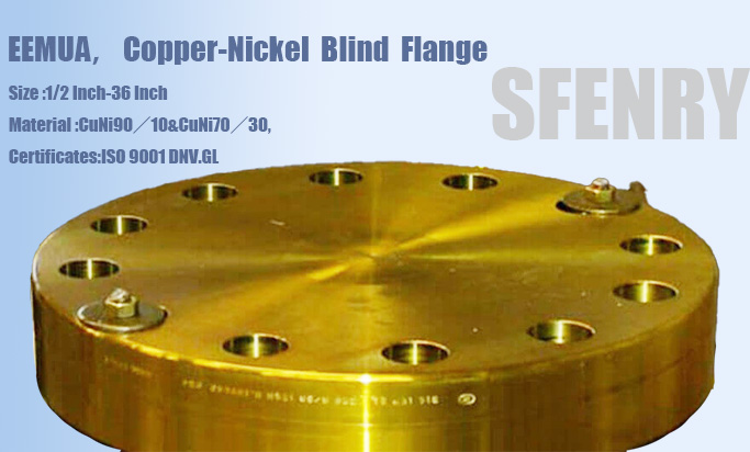 Copper-Nickel-Flanges 铜镍法兰