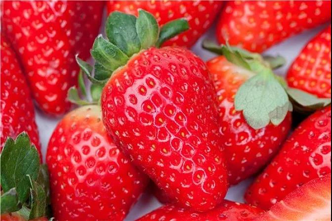 怎样使草莓既好看又好吃？价格还一路飙升？