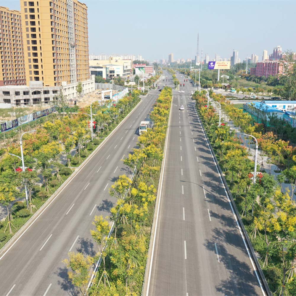 山东省郓城县城区道路政府和社会资本合作（PPP)项目