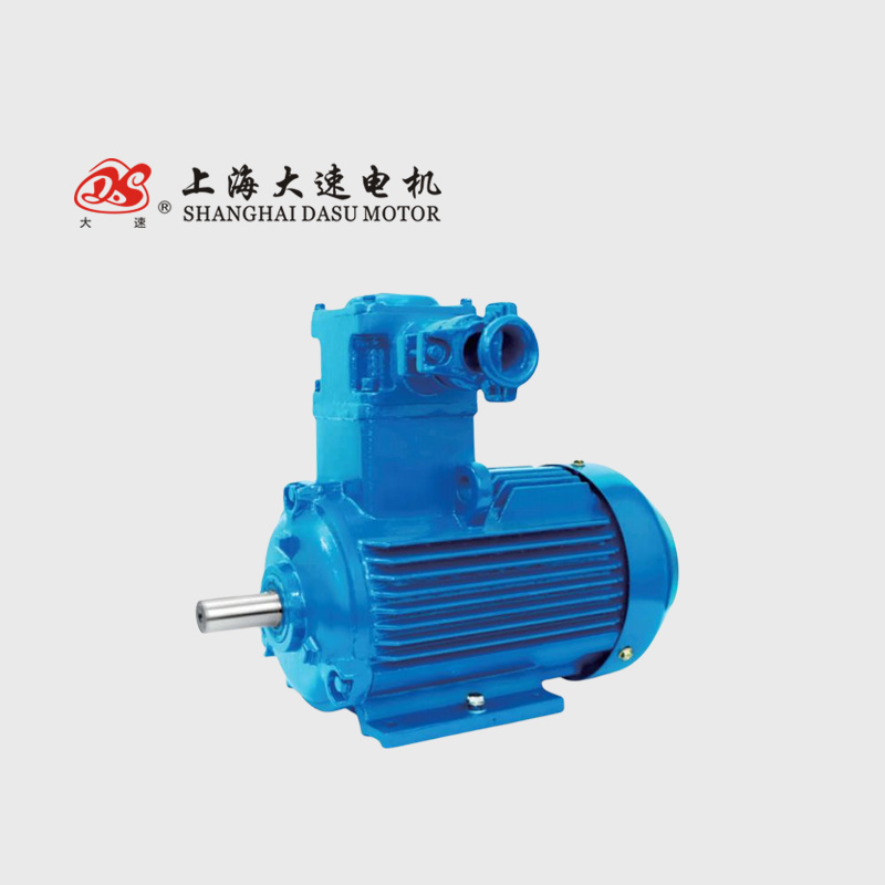 YBX3 series explosion-proof (ICT4, dust explosion-proof) three-phase asynchronous motor