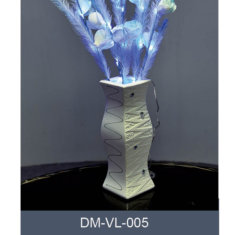 DM-VL-005