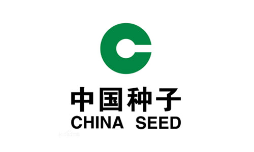 Китайские семена 