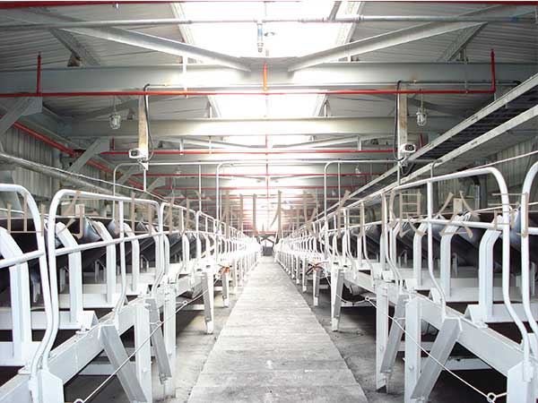 Belt conveyors for the power industry
