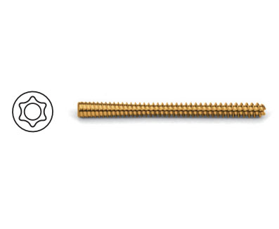 5.0mm Diameter Cannulated Headless Compression Screw