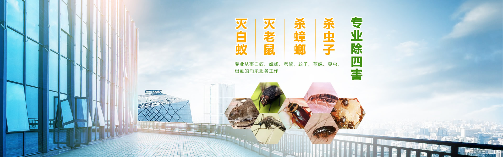 广州博克昆虫鼠害防治有限公司