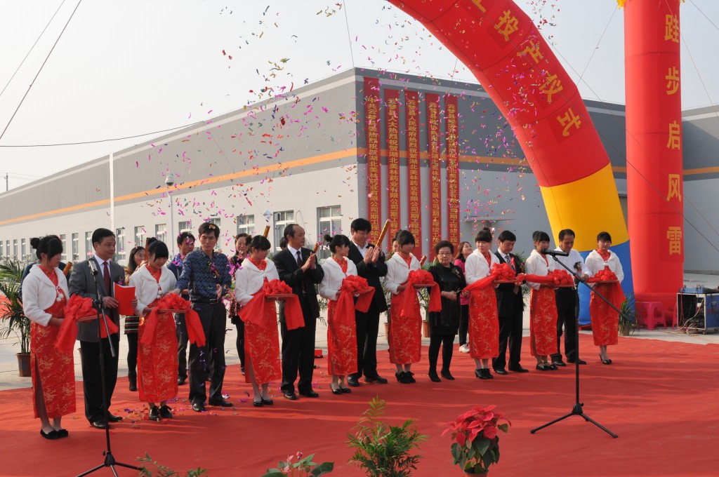 Hubei Meilin Pharmaceutical Co., Ltd. was completed and put into production