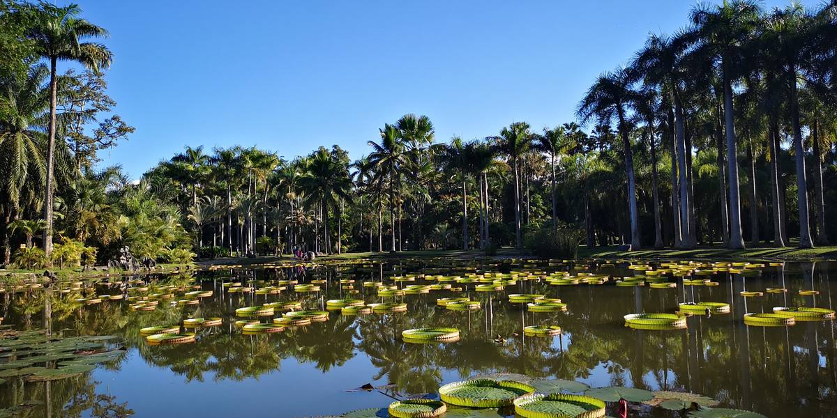 The Xishuangbanna Tropical Botanical Garden